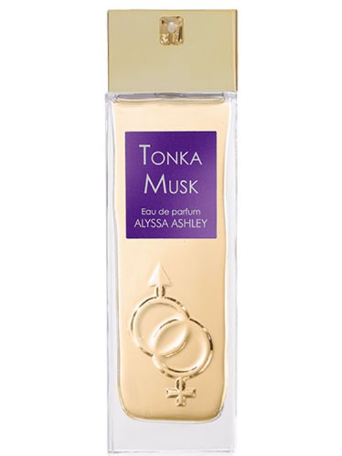 Tonka Musk
