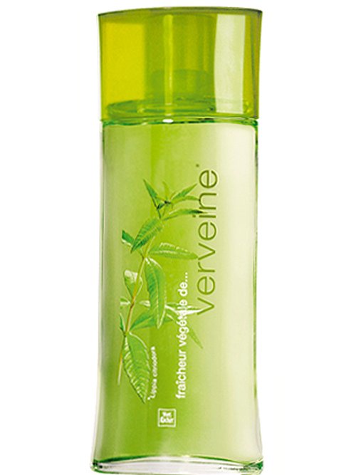 Fraîcheur Végétale De Verveine