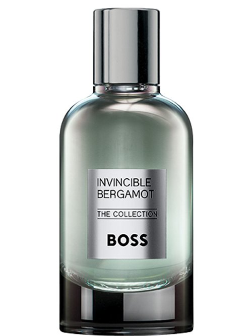 Invincible Bergamot