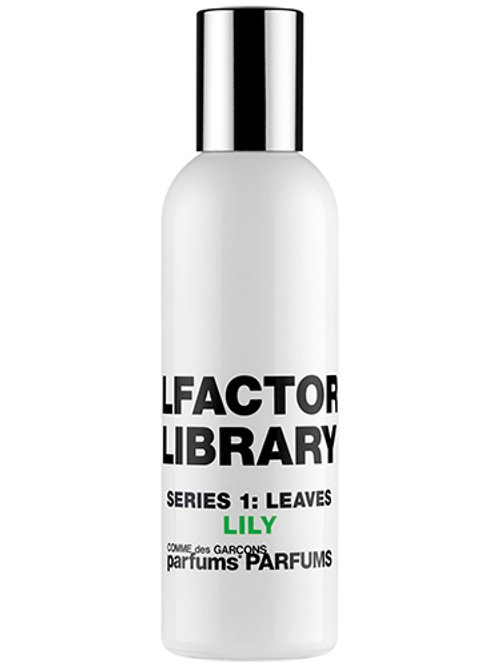 Series 1 Leaves : Lily