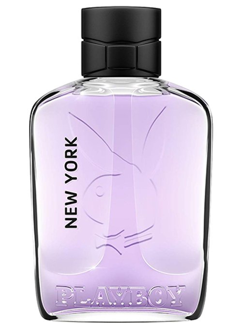 New York Playboy