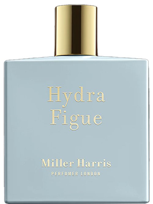 Hydra Figue