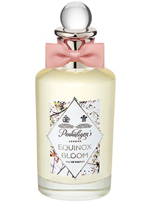 Equinox Bloom