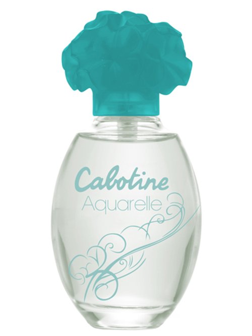 Cabotine Aquarelle 2009