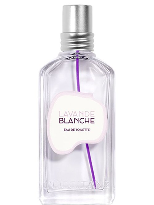 Lavande Blanche