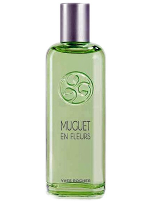 Un Matin Au Jardin : Muguet En Fleurs