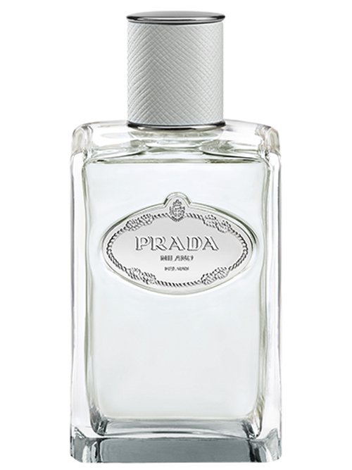 Infusion D'Iris Cèdre